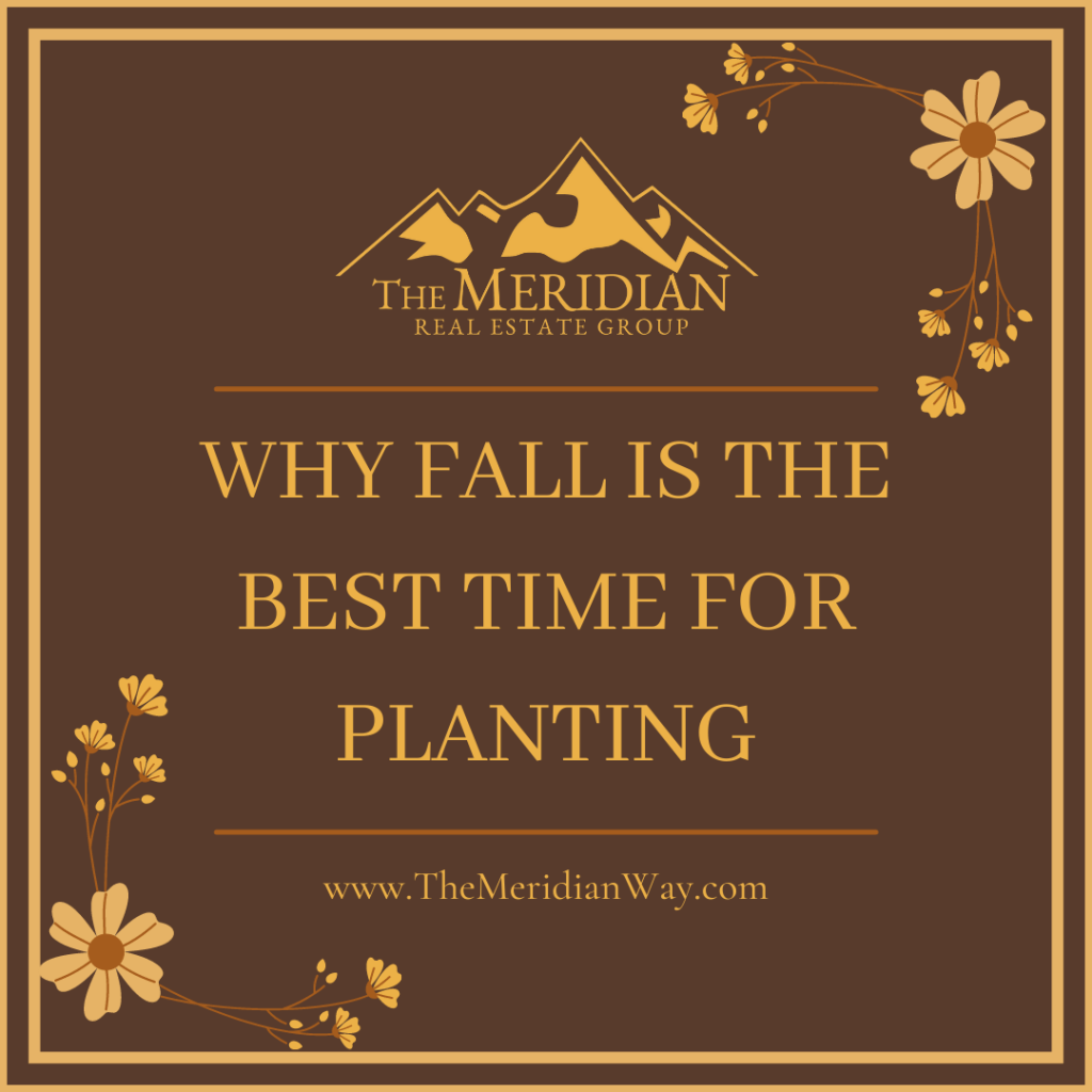 WHY FALL IS THE BEST TIME FOR PLANTING